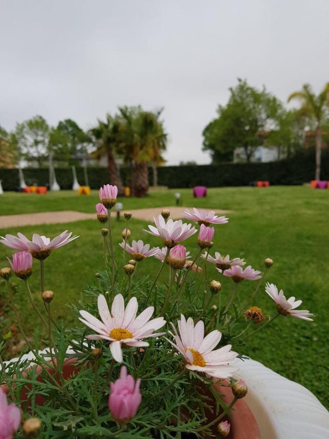 I Giardini Del Novecento Hotel Lamezia Terme Exterior foto